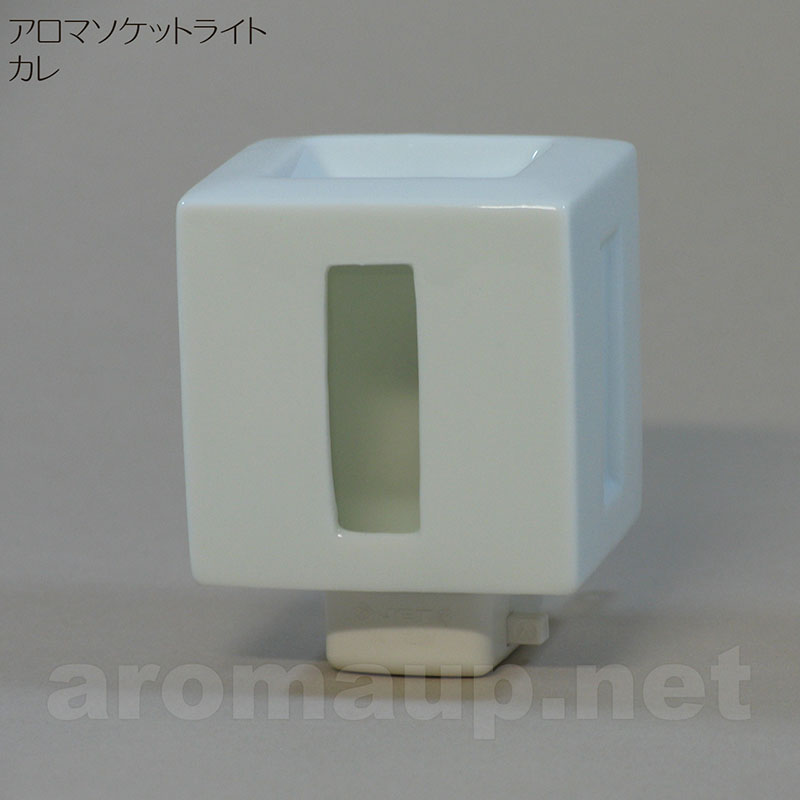 フリート アロマソケットライト カレ